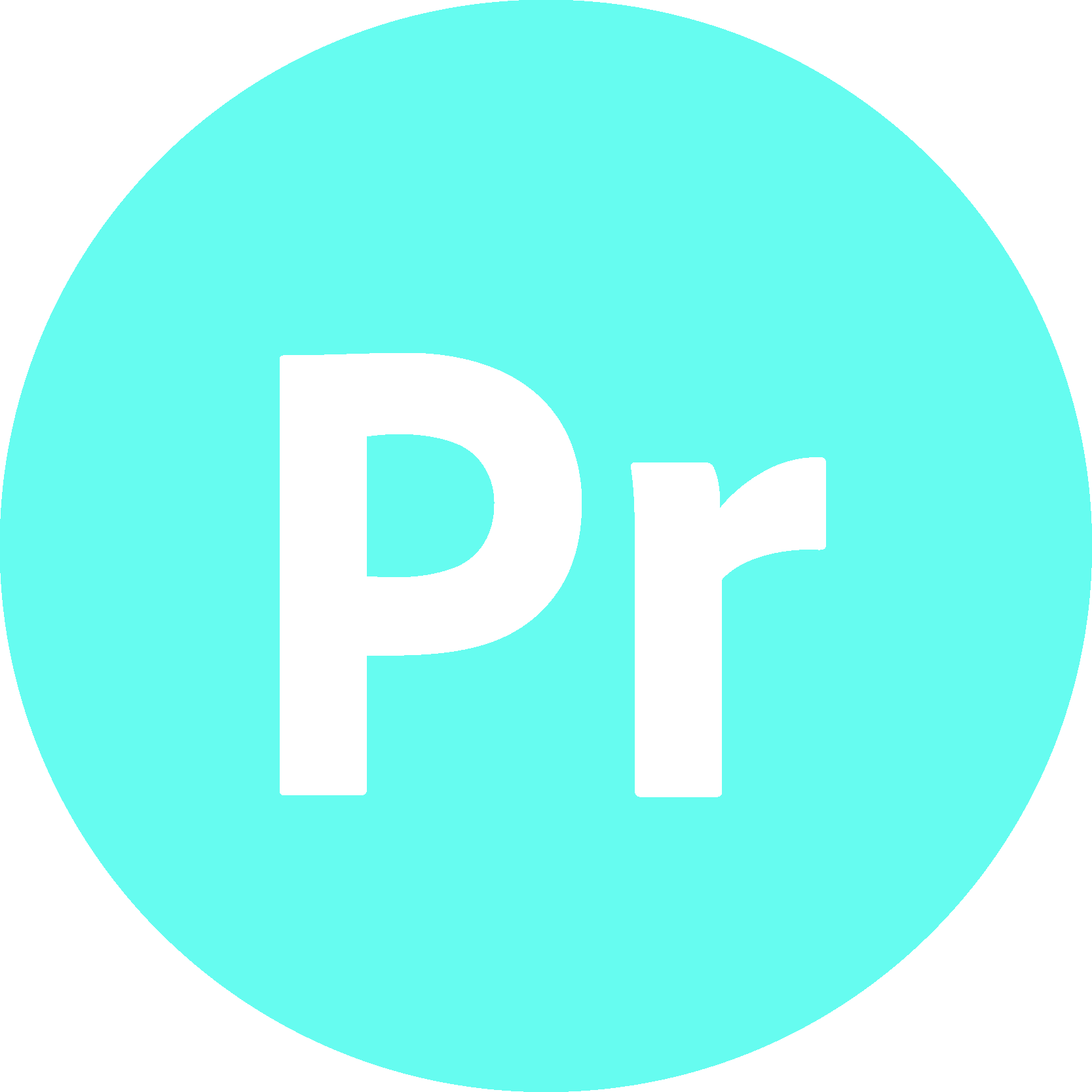 Adobe Premiere Pro