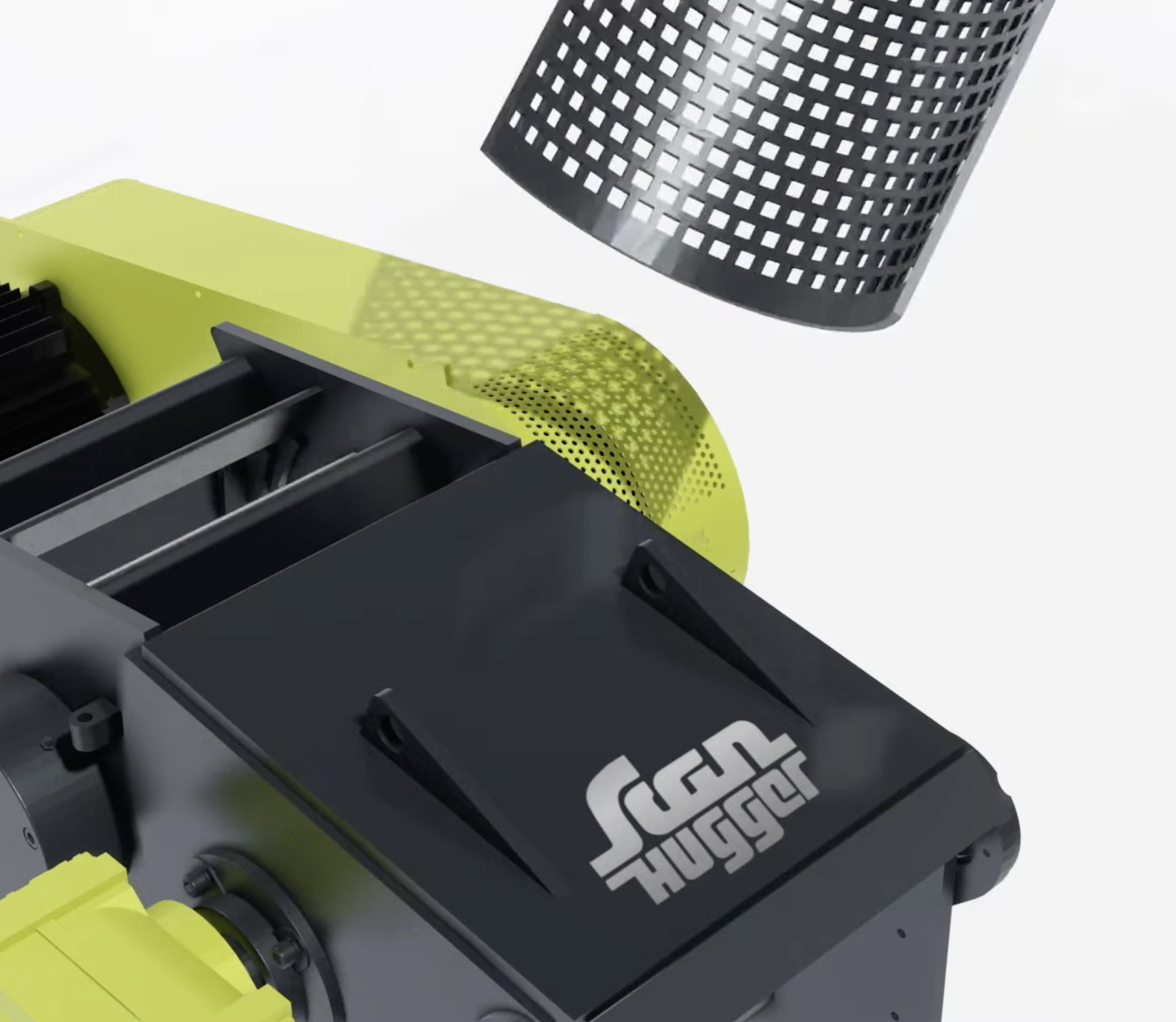 Video & Motion Graphics